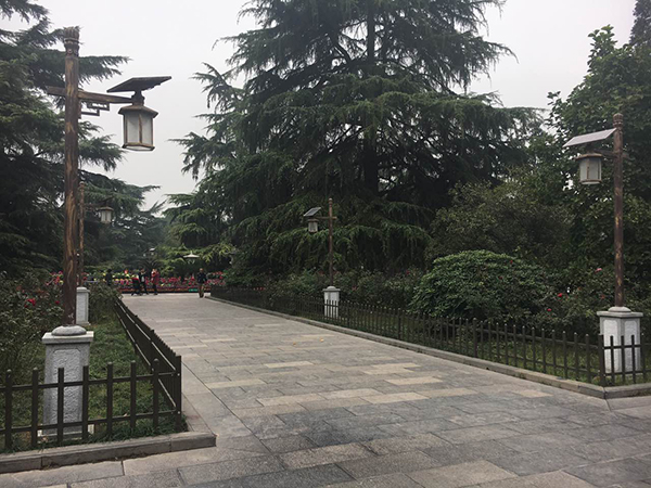 源碼太陽能路燈，太陽能路燈廠家，太陽能路燈價(jià)格