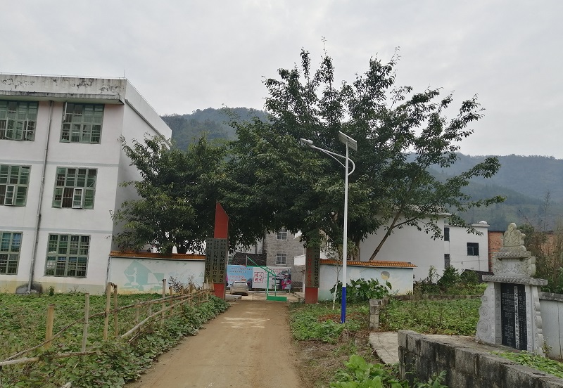 太陽能路燈品牌的市場需求與增長潛力